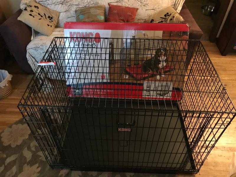 kong soft crate