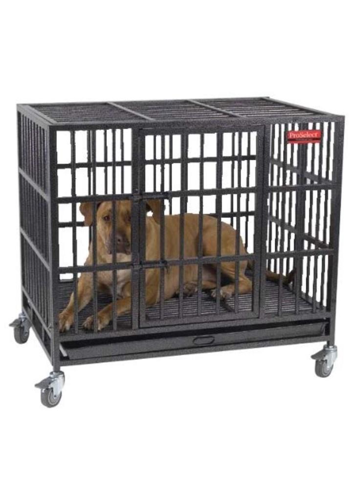proselect empire dog cages