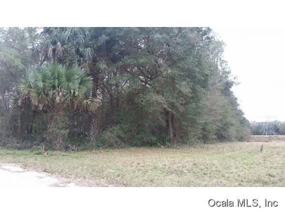 Ocala Vacant Land For Sale Land for sale